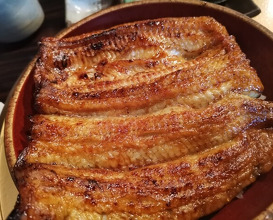 Dinner at Ichi Unagi (一鰻)