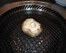 Dinner at Yakiniku Ito (焼肉井とう)