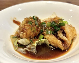 Dinner at Kaika Tei (開化亭)