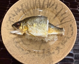 Dinner at Dogo Kaishu (道後 海舟)