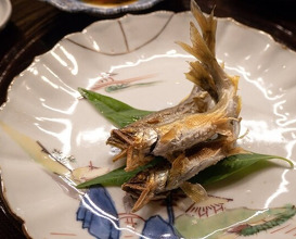 Dinner at Ginza Sushi Kanesaka Honten (銀座 鮨 かねさか 本店)