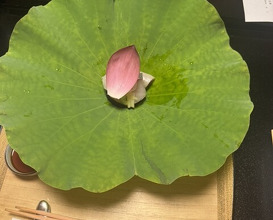 Dinner at Kikuno I Honten (菊乃井 本店)
