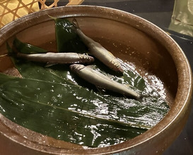 Dinner at Kikuno I Honten (菊乃井 本店)