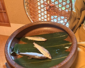 Dinner at Kikuno I Honten (菊乃井 本店)