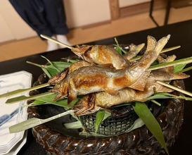 Dinner at Kikuno I Honten (菊乃井 本店)