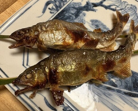 Dinner at Kikuno I Honten (菊乃井 本店)