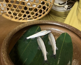 Dinner at Kikuno I Honten (菊乃井 本店)