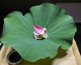 Dinner at Kikuno I Honten (菊乃井 本店)