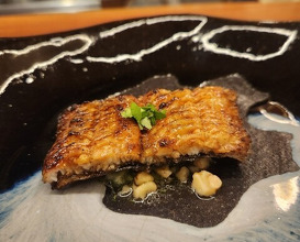 Dinner at Kitanozaka Kinoshita