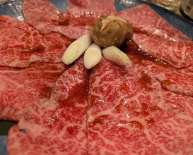 Dinner at Sumiyaki Kinryusan (炭焼 金竜山)