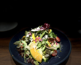 Dinner at kitchen Toshiki (kitchen俊貴)
