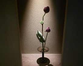 Dinner at Kiyama (木山)