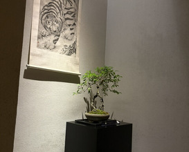 Dinner at Kohaku