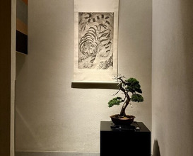 Dinner at Kohaku