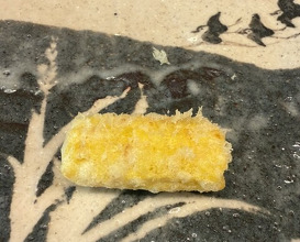 Dinner at Tempura Koizumi (天ぷら 小泉)