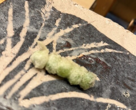 Dinner at Tempura Koizumi (天ぷら 小泉)