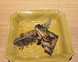 Dinner at Kojitsu (好日)
