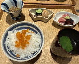 Dinner at Japanese cuisine Komatsu (日本料理こまつ)