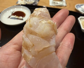 Dinner at Komatsu Yasuke (小松 弥助)