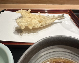 Dinner at Tempura Kondo (てんぷら 近藤)