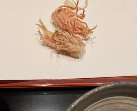 Dinner at Tempura Kondo (てんぷら 近藤)