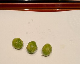 Dinner at Tempura Kondo (てんぷら 近藤)