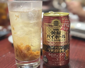 Dinner at Yakiniku Kosen (焼肉幸泉)