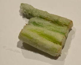 Dinner at Tempura Kyoboshi (天ぷら 京星)