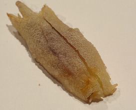 Dinner at Tempura Kyoboshi (天ぷら 京星)