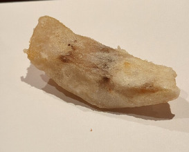 Dinner at Tempura Kyoboshi (天ぷら 京星)
