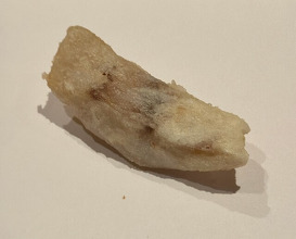Dinner at Tempura Kyoboshi (天ぷら 京星)