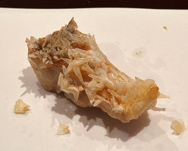 Dinner at Tempura Kyoboshi (天ぷら 京星)