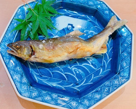 Dinner at Kyodaisushi