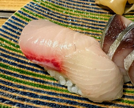 Dinner at Kyogoku Zushi (京極寿司)