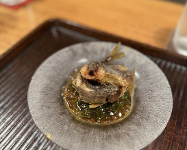 Dinner at Kyotenjin Noguchi (京天神 野口)