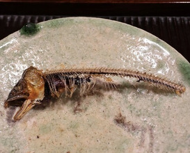 Dinner at Kyotenjin Noguchi (京天神 野口)