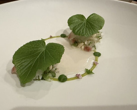 Dinner at LATURE (ラチュレ)