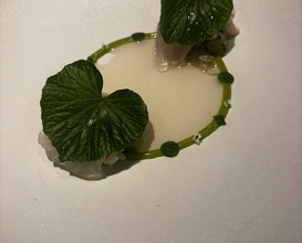 Dinner at LATURE (ラチュレ)