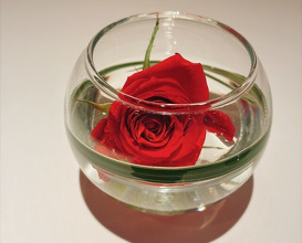 Dinner at Les Saisons (レ セゾン)
