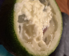 Dinner at Makinonci (マキノンチ)
