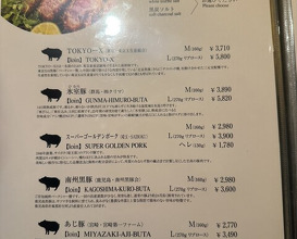 Dinner at Tonkatsu Mange (とんかつ マンジェ)