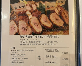 Dinner at Tonkatsu Mange (とんかつ マンジェ)