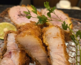 Dinner at Tonkatsu Mange (とんかつ マンジェ)