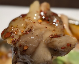 Dinner at China Sichuan Shuka Manzan (中国四川酒家 蔓山)