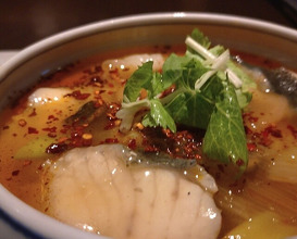 Dinner at China Sichuan Shuka Manzan (中国四川酒家 蔓山)