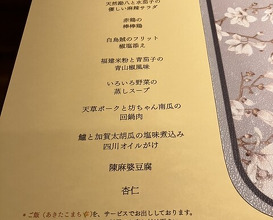 Dinner at China Sichuan Shuka Manzan (中国四川酒家 蔓山)
