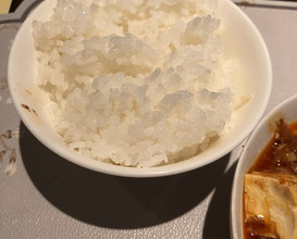 Dinner at China Sichuan Shuka Manzan (中国四川酒家 蔓山)