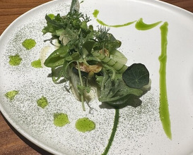 Dinner at MASHIRO (真白)