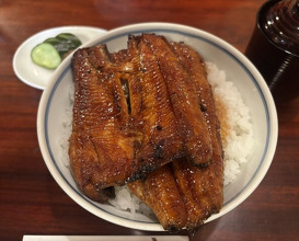 Dinner at Unagi no Matsu Ka (うなぎのまつ嘉)