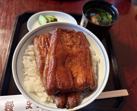 Dinner at Unagi no Matsu Ka (うなぎのまつ嘉)